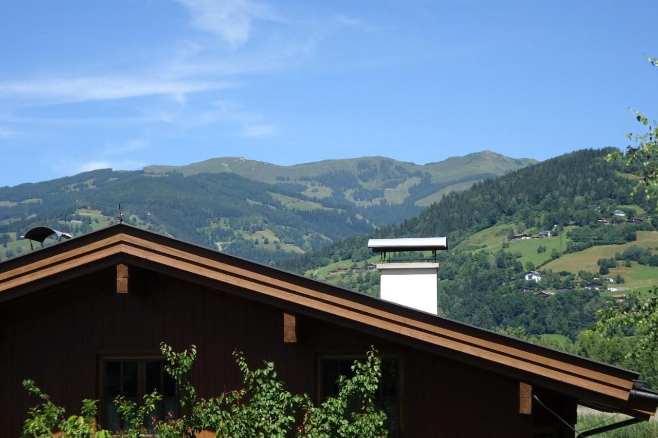 Ferienwohnung Appartement Am Schilf Xl Zell am See Bagian luar foto